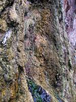 Some really cool mineral deposits where the hot springs seeps from the canyon wall. (Category:  Rock Climbing)