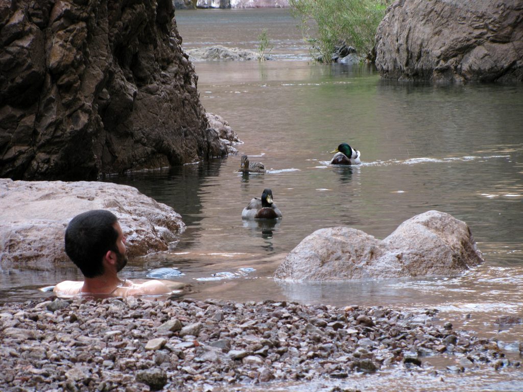 Josh and some fearless ducks. (Category:  Rock Climbing)