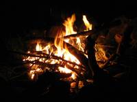 Bonfire (Category:  Party)