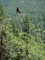 I can't really tell which of us is swinging in each picture. (Category:  Rock Climbing, Tree Climbing)