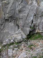 Jeanine and Brad descending. (Category:  Rock Climbing, Tree Climbing)