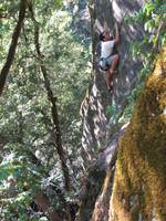 Alex climbing Putrefaction. (Category:  Rock Climbing, Tree Climbing)