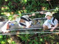 The whole family on the canopy walkway. (Category:  Rock Climbing, Tree Climbing)