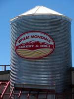 Wheat Montana! (Category:  Rock Climbing, Tree Climbing)