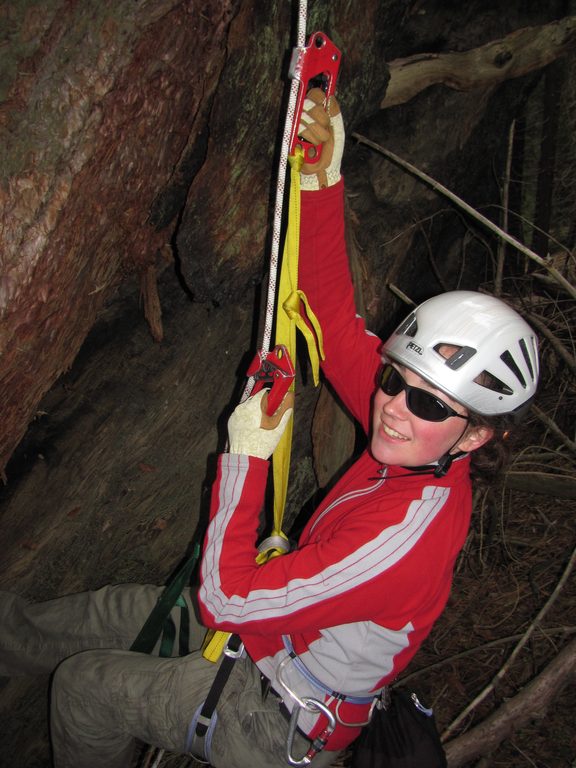 Tara jugging. (Category:  Rock Climbing, Tree Climbing)