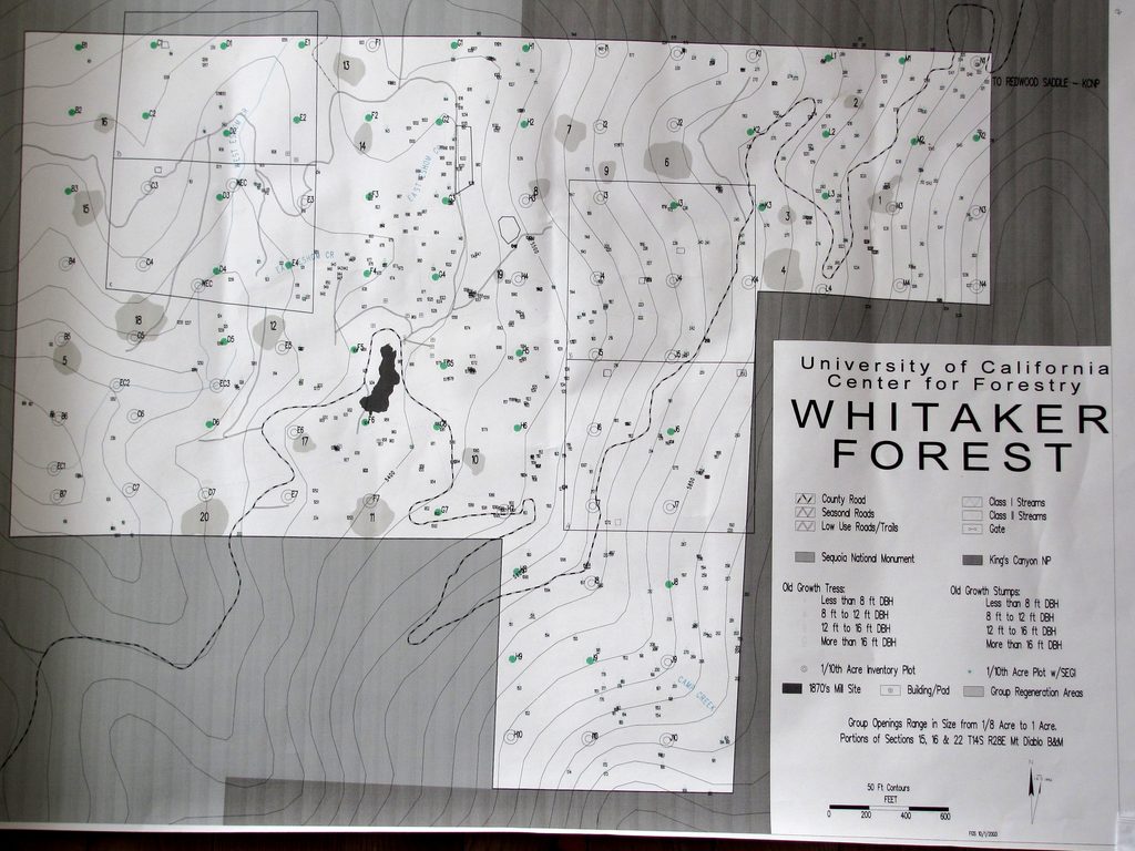 Whitaker Forest map. (Category:  Rock Climbing, Tree Climbing)