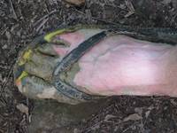 I left my approach shoes in the car and had to wear my Tanzanian flip-flops up a very muddy trail. (Category:  Rock Climbing, Tree Climbing)