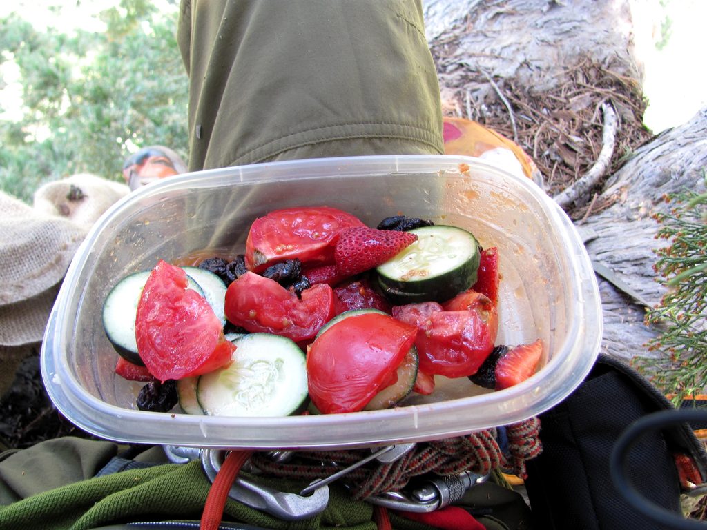 I was inordinately happy with the salad I brought up into the tree for lunch. (Category:  Rock Climbing, Tree Climbing)