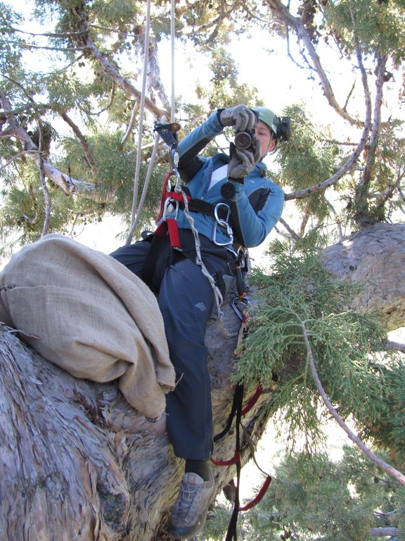 Tammy taking a picture of me. (Category:  Rock Climbing, Tree Climbing)