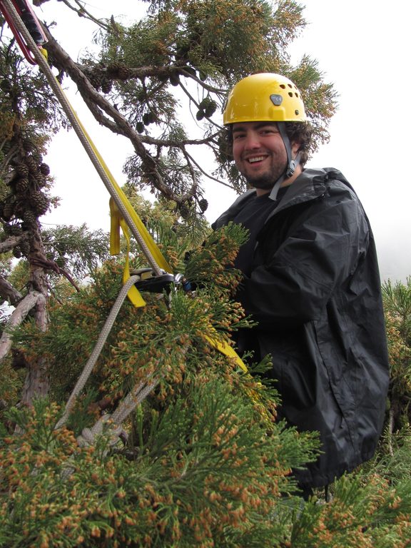 Collin (Category:  Rock Climbing, Tree Climbing)