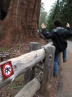 Collin breaking the rules! (Category:  Rock Climbing, Tree Climbing)