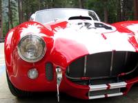 A replica Shelby Cobra I spotted in the valley. (Category:  Rock Climbing, Tree Climbing)