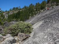 Dave on the approach to Snake Dike. (Category:  Rock Climbing, Tree Climbing)