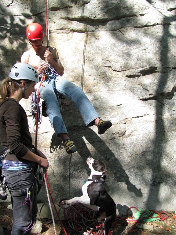 Stella very happy to see us back on the ground. (Category:  Rock Climbing)