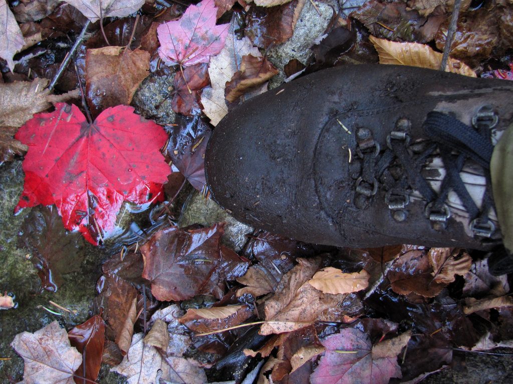 Foliage?  What's that?  Oh, you mean foilage! (Category:  Rock Climbing)