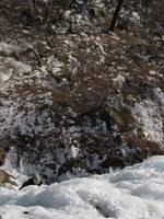 Emily climbing Pitchoff Right. (Category:  Ice Climbing)