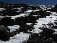 Dave heading up Tserko Ri. (Category:  Travel)