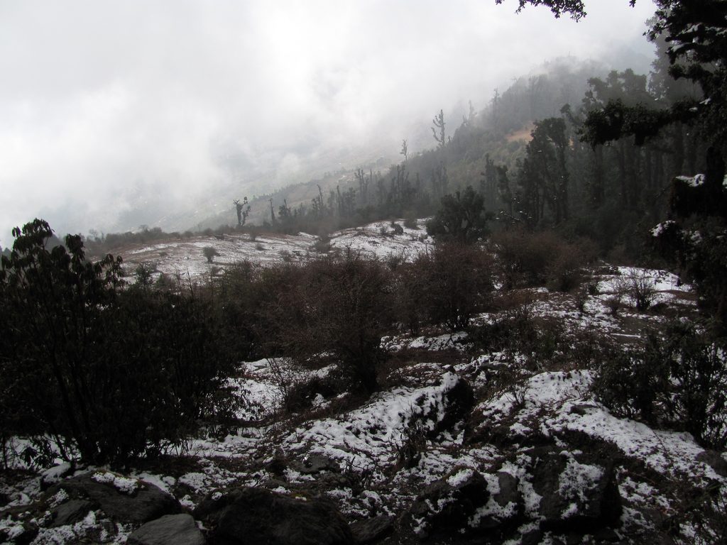 Dropping down a few hundred meters, we reach the snow line. (Category:  Travel)