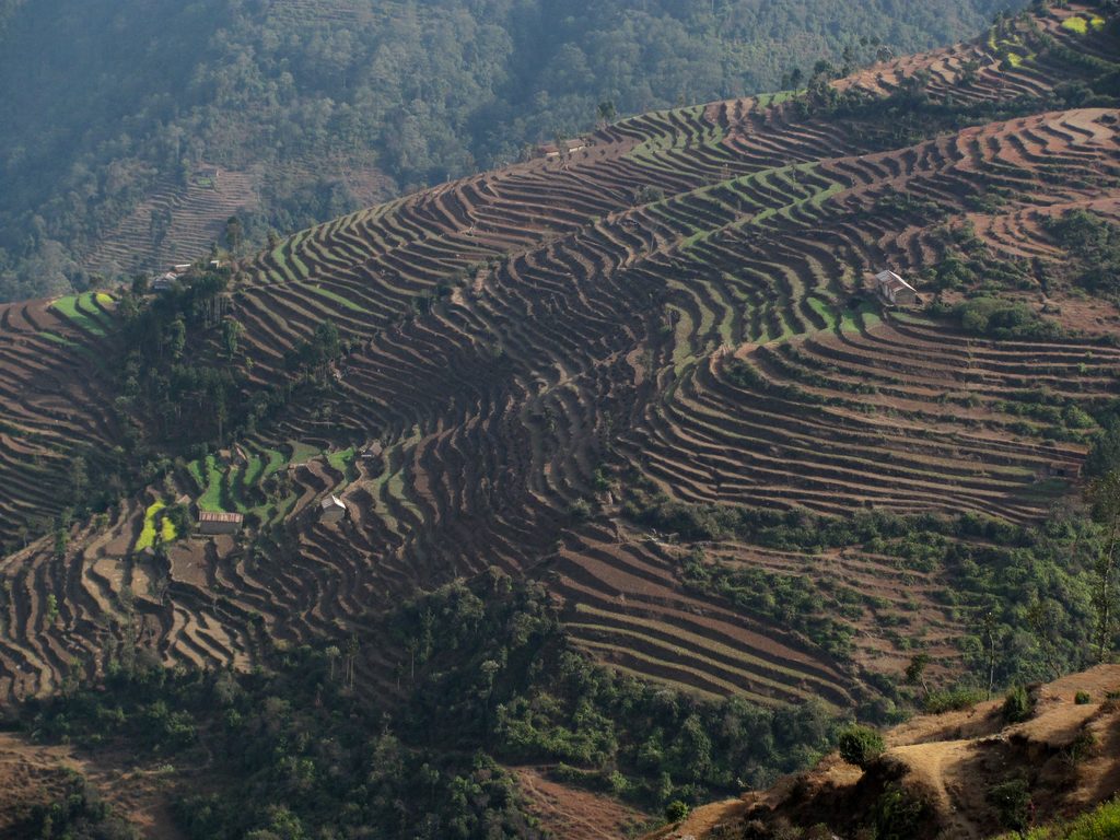 The area is more populated.  Agriculture, herding and the occasional distant road. (Category:  Travel)