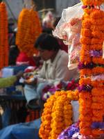Kathmandu Durbar Square.  Festival flowers. (Category:  Travel)