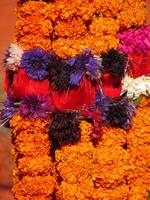 Kathmandu Durbar Square. Brilliant strings of flowers. (Category:  Travel)