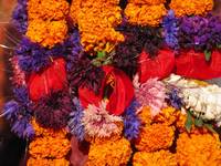 Kathmandu Durbar Square. Brilliant strings of flowers. (Category:  Travel)