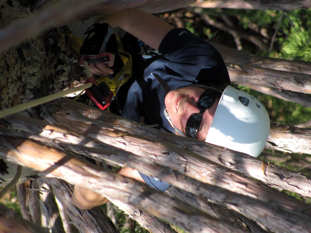 Laetitia coming up the mini giant sequoia. (Category:  Tree Climbing)