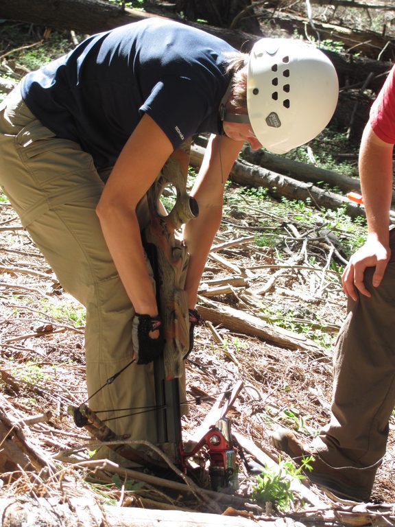 Laetitia cocking the crossbow. (Category:  Tree Climbing)