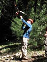 Jerry taking shot number two. (Category:  Tree Climbing)