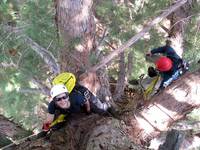 Laetitia and Jerry in 288. (Category:  Tree Climbing)