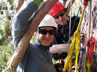 Laetitia and Jerry at the top of 288. (Category:  Tree Climbing)