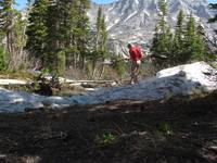 Mike building a bridge across the creek. (Category:  Rock Climbing)