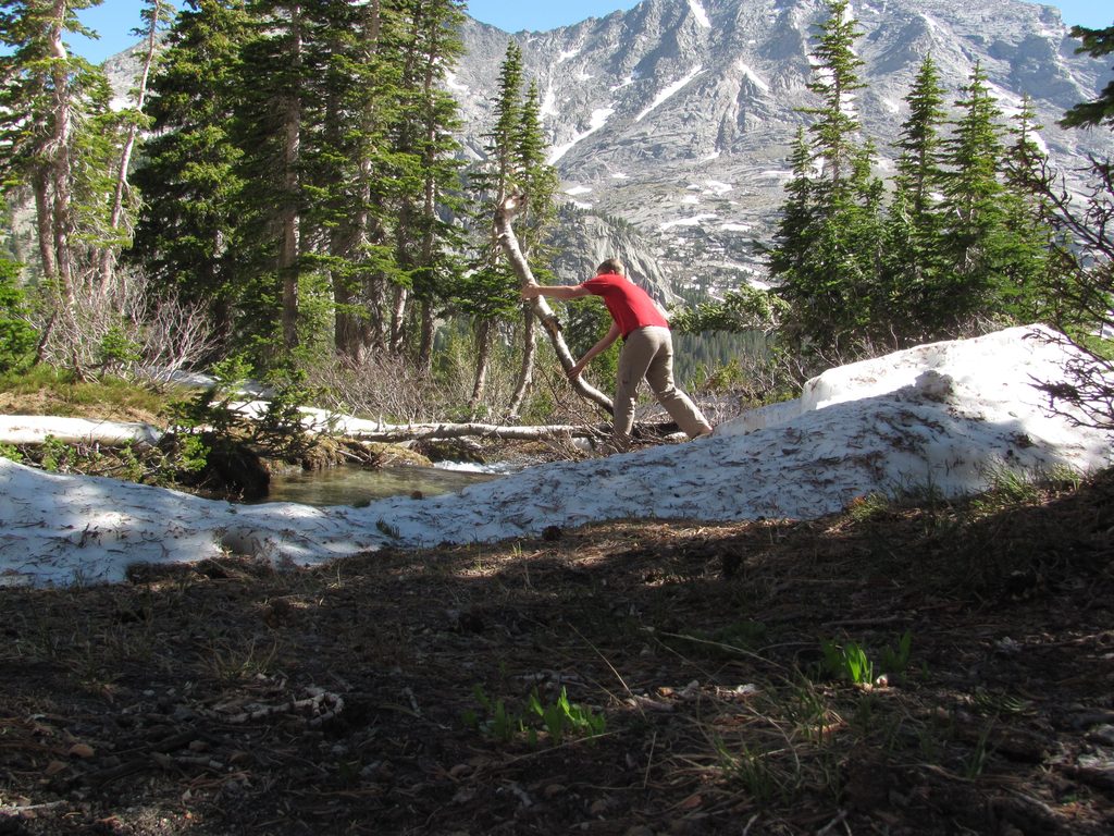 Mike building a bridge across the creek. (Category:  Rock Climbing)