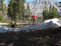 Mike building a bridge across the creek. (Category:  Rock Climbing)