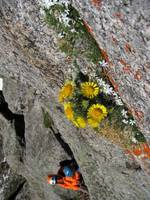 Climbing the South Buttress of Pingora. (Category:  Rock Climbing)