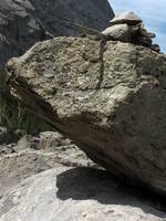 Carnivorous Mountain Marmot waiting by a food hanging site. (Category:  Rock Climbing)