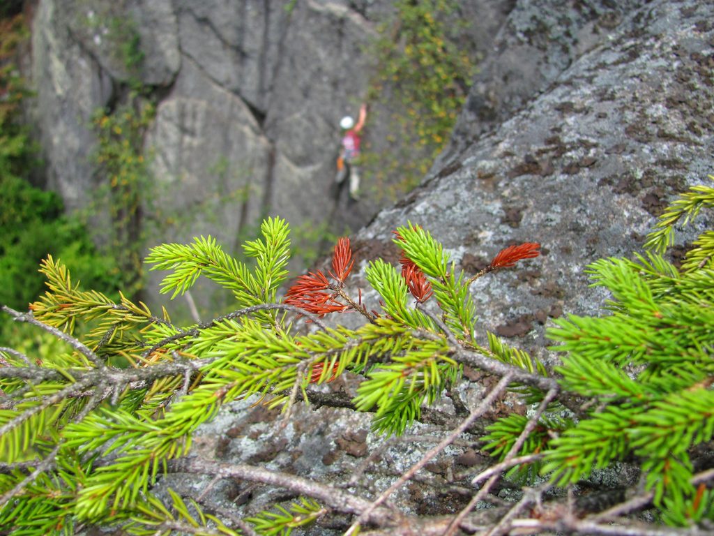 Summer in the Dacks... (Category:  Rock Climbing)