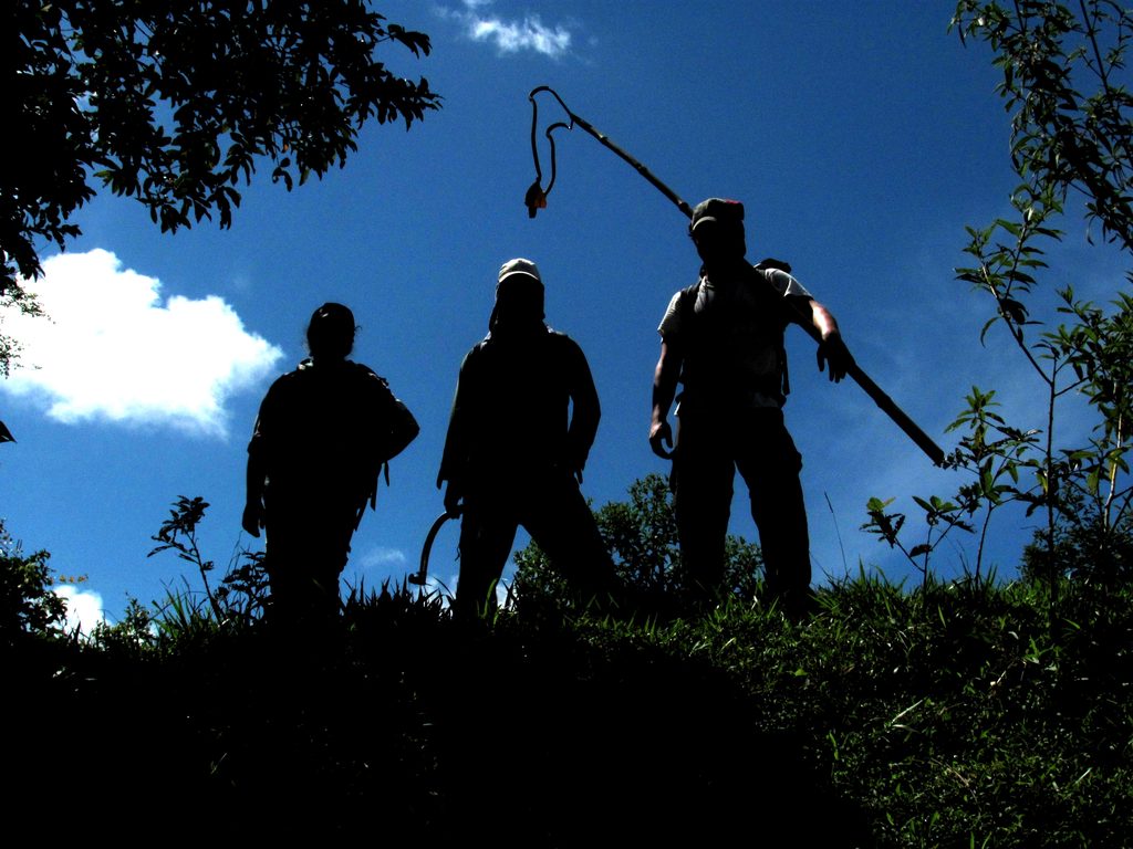 Tara, Dave and Colin.  Gonna shoot some big trees! (Category:  Travel)