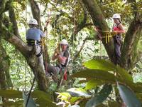 Kristin, Andrew and Wesley in the neighboring tree. (Category:  Travel)