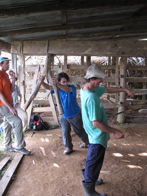 Eric grinding sugar cane. (Category:  Travel)