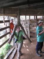 Laetitia grinding sugar cane. (Category:  Travel)