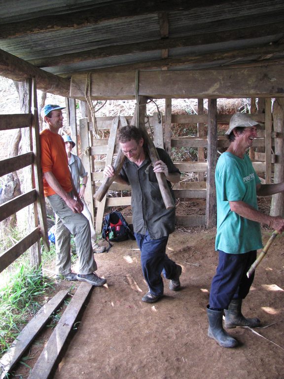 Dan grinding sugar cane. (Category:  Travel)