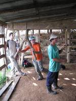 Tom grinding sugar cane. (Category:  Travel)