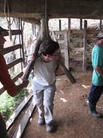 Andrew grinding sugar cane. (Category:  Travel)