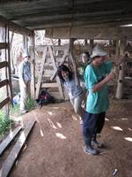 Becky grinding sugar cane. (Category:  Travel)