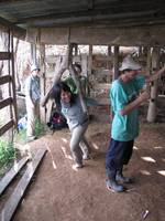 Becky grinding sugar cane. (Category:  Travel)