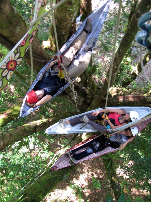 Laetitia, Wesley and Becky relaxing in hammocks... seventy feet above the ground. (Category:  Travel)