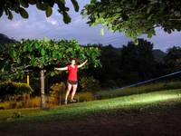 Cat slacklining (Category:  Travel)