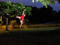 Cat slacklining (Category:  Travel)