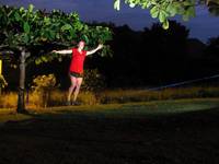 Cat slacklining (Category:  Travel)